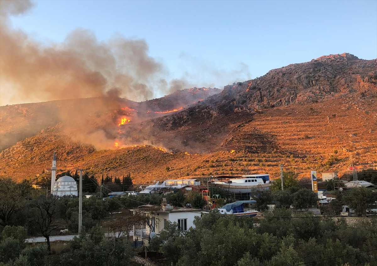 Muğla'da makilik alanda çıkan yangın kontrol altına alındı