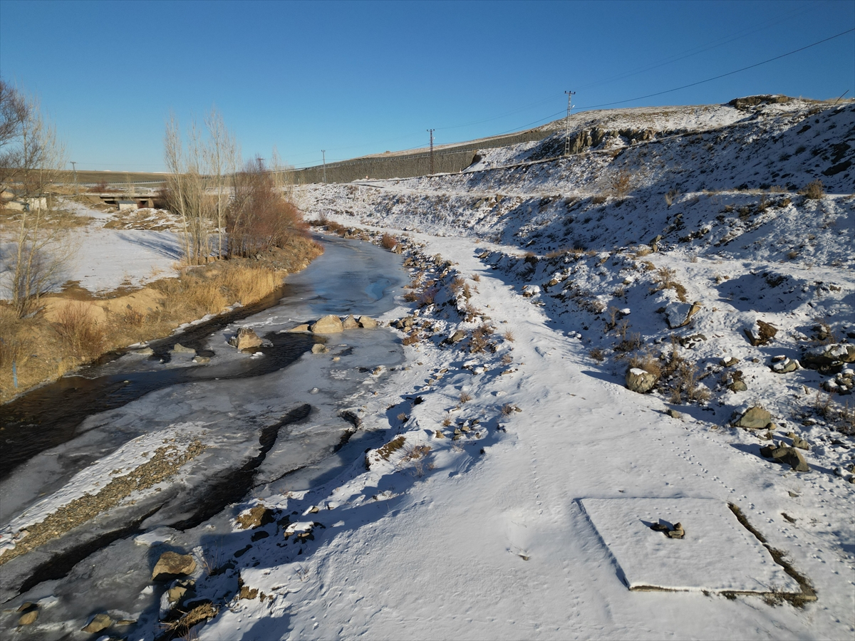 Ardahan ve Ağrı'da nehir ile dereleri buz, ağaçları kırağı kapladı