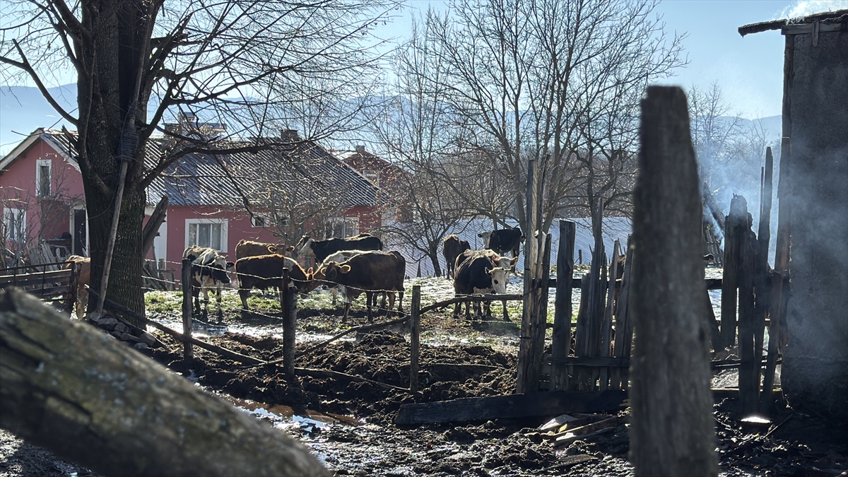 Bolu'da çıkan yangında ahır ve samanlık kullanılamaz hale geldi