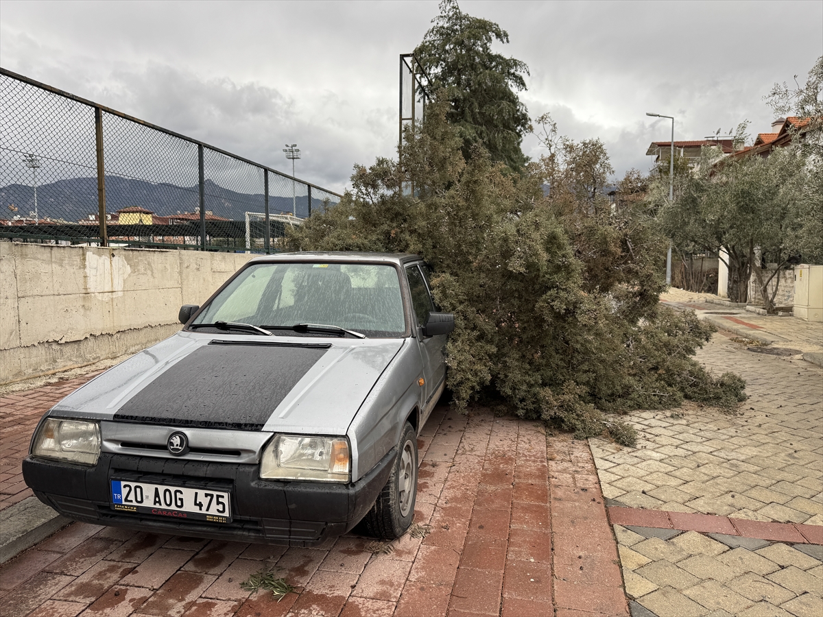 Denizli'de fırtınanın devirdiği ağaçlar 2 araca zarar verdi