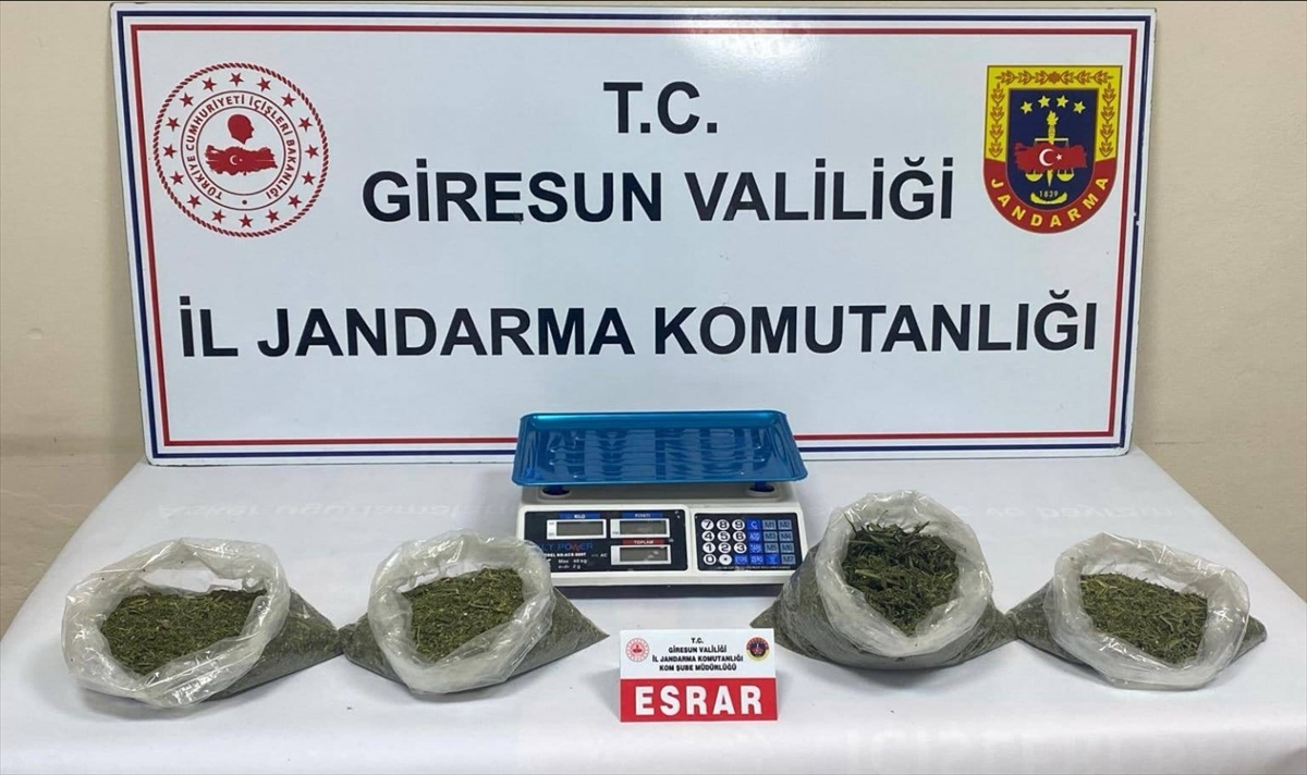 Giresun'da uyuşturucu operasyonunda 2 zanlı tutuklandı