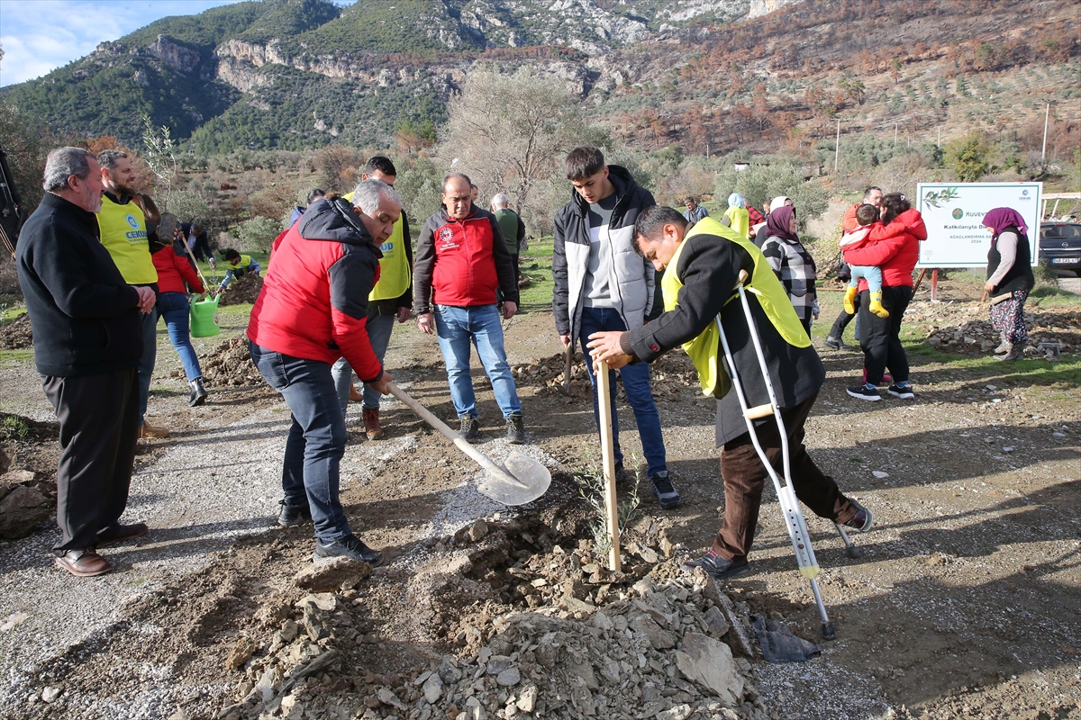 Muğla'da orman yangınından etkilenen üreticilere zeytin fidanı dağıtıldı