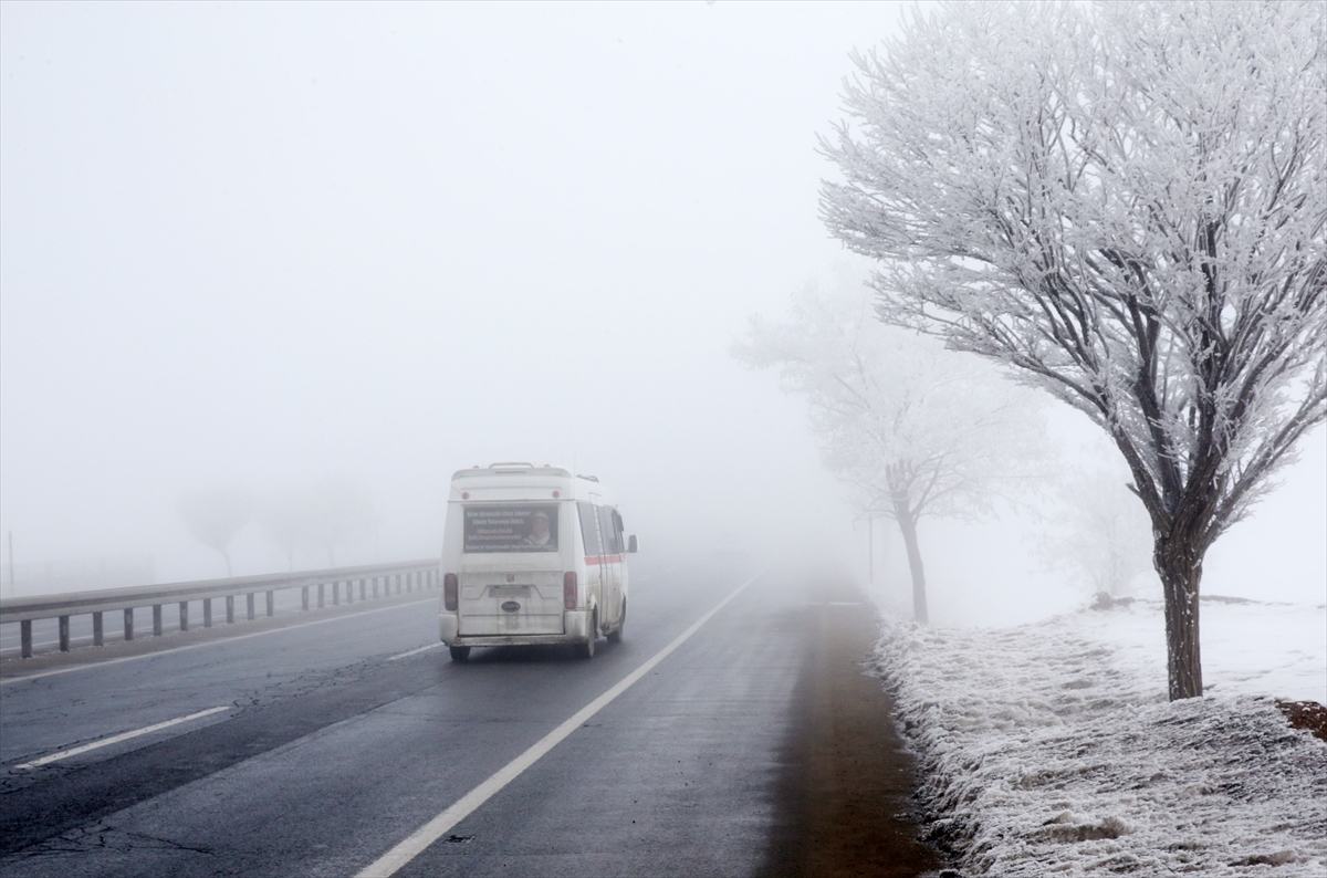 Bitlis'te sis ve soğuk hava etkili oldu