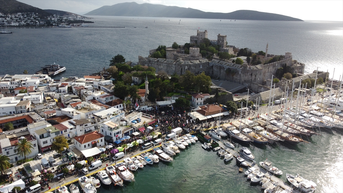 Bodrum'da düzenlenen festivalde 3 ton hamsi dağıtıldı