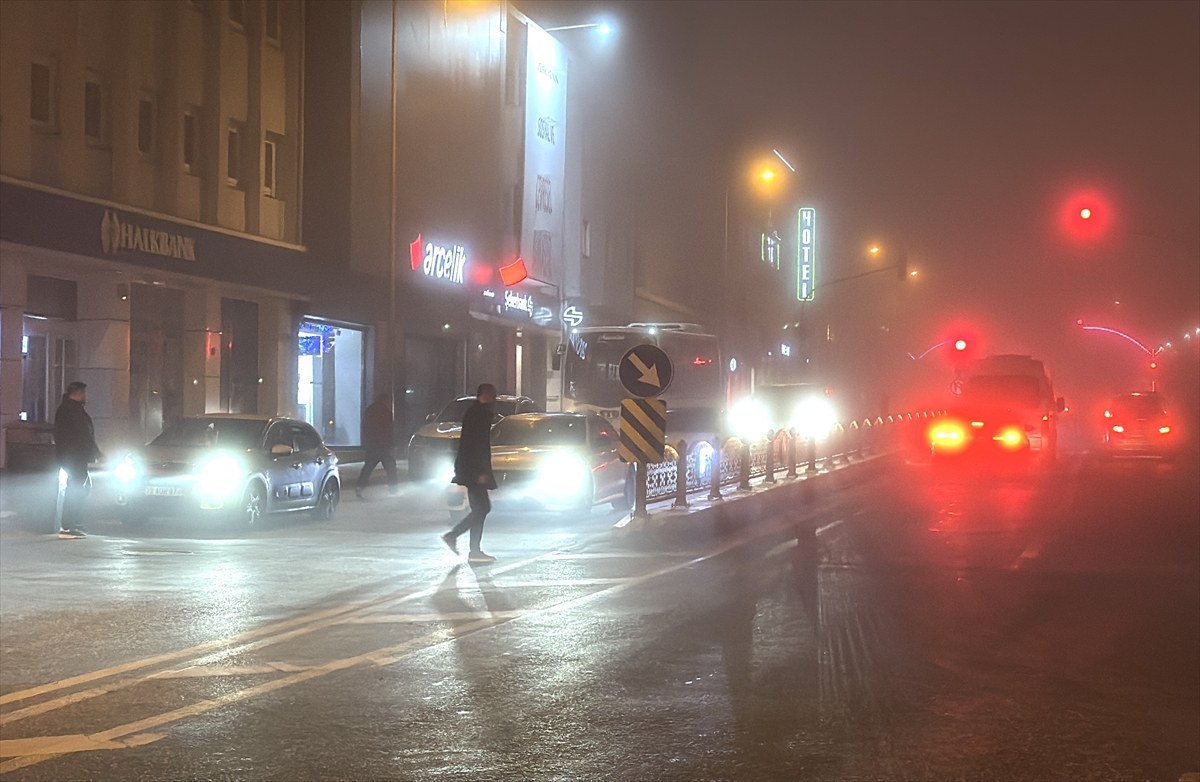 Edirne'de yoğun sis etkili oluyor