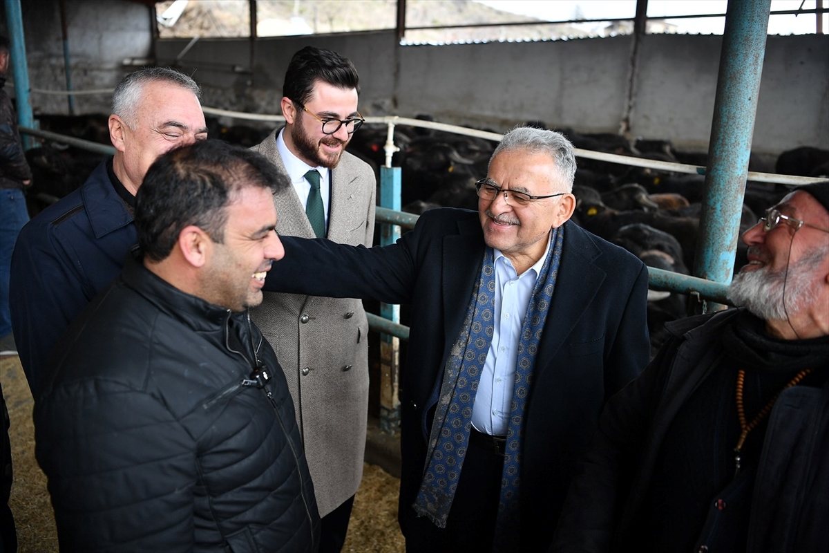 Kayseri'de yetiştiricilere yüzde 50 hibeli manda desteği