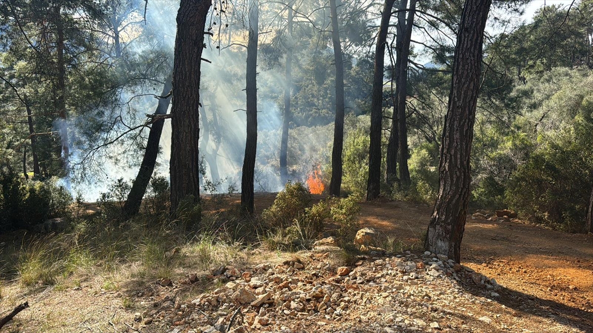 Muğla'da ormanlık alanda çıkan yangın söndürüldü