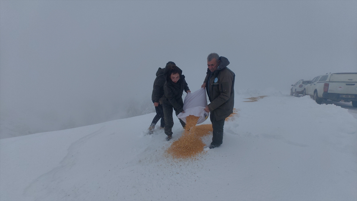 Muğla'da yaban hayvanları için doğaya yem bırakıldı