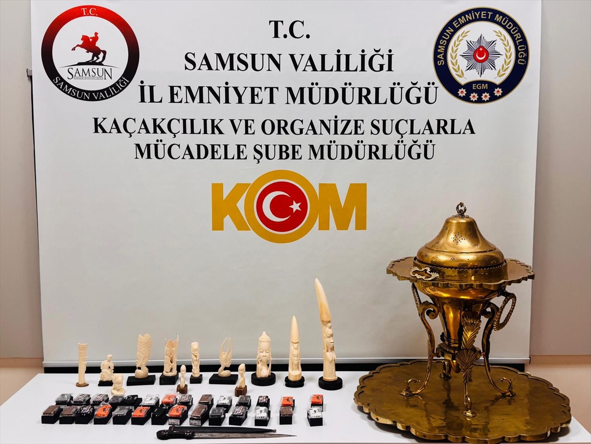 Samsun'da tarihi eser kaçakçılığı operasyonunda 1 kişi yakalandı