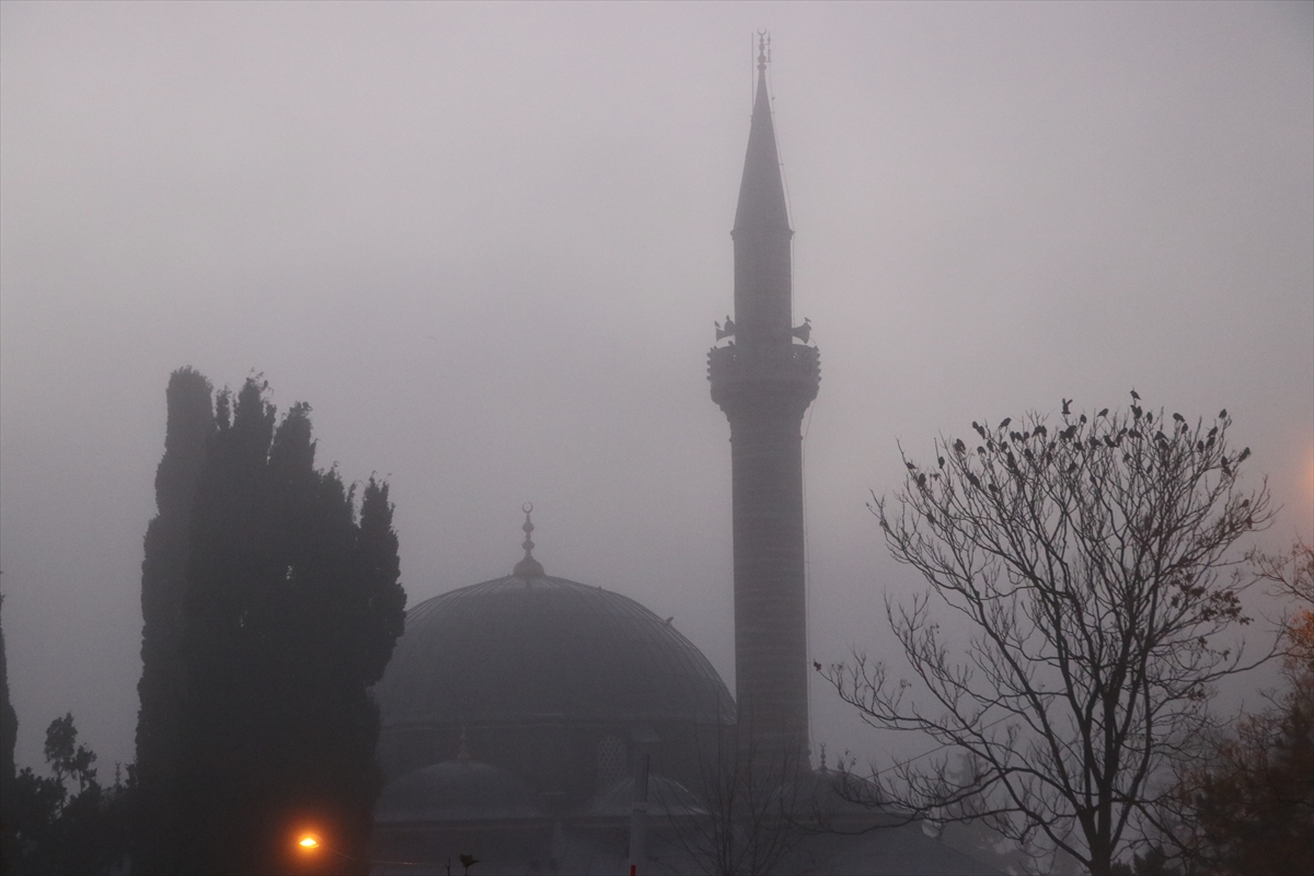 Edirne ve Tekirdağ'da yoğun sis etkili oldu