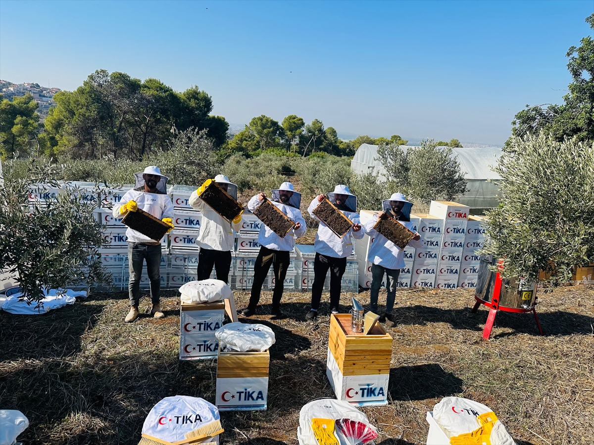 TİKA'dan Filistin'de arıcılık sektörünü geliştirmek için proje