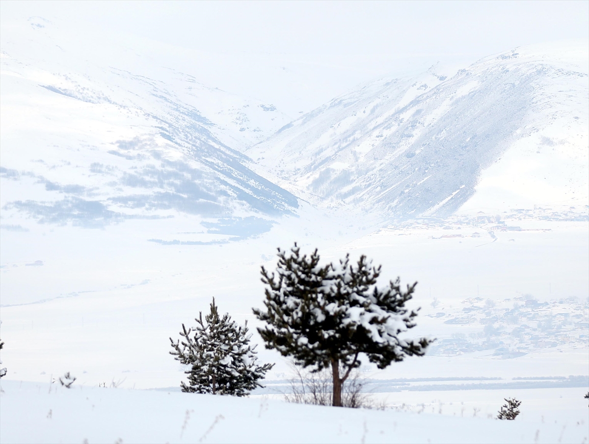 Erzurum, Kars ve Ardahan'da kar ile soğuk hava etkili oluyor