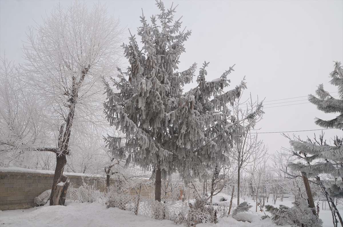 Muş ve Hakkari'de 5 yerleşim yerine ulaşım sağlanamıyor