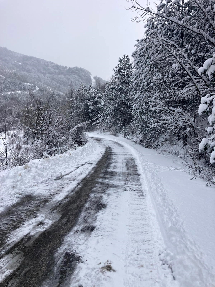 Karabük ve Bolu'da kar nedeniyle kapanan köy yollarından 176'sı açıldı