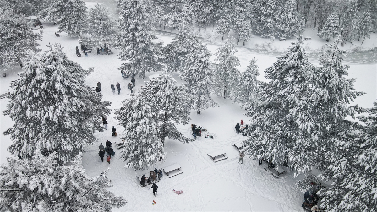 Kütahya'daki Topuk Yaylası Tabiat Parkı beyaz örtüyle kaplandı