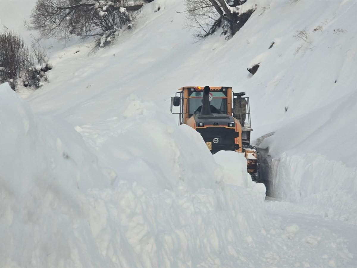 Muş ve Hakkari'de kapanan 5 yerleşim yerinin yolu ulaşıma açıldı