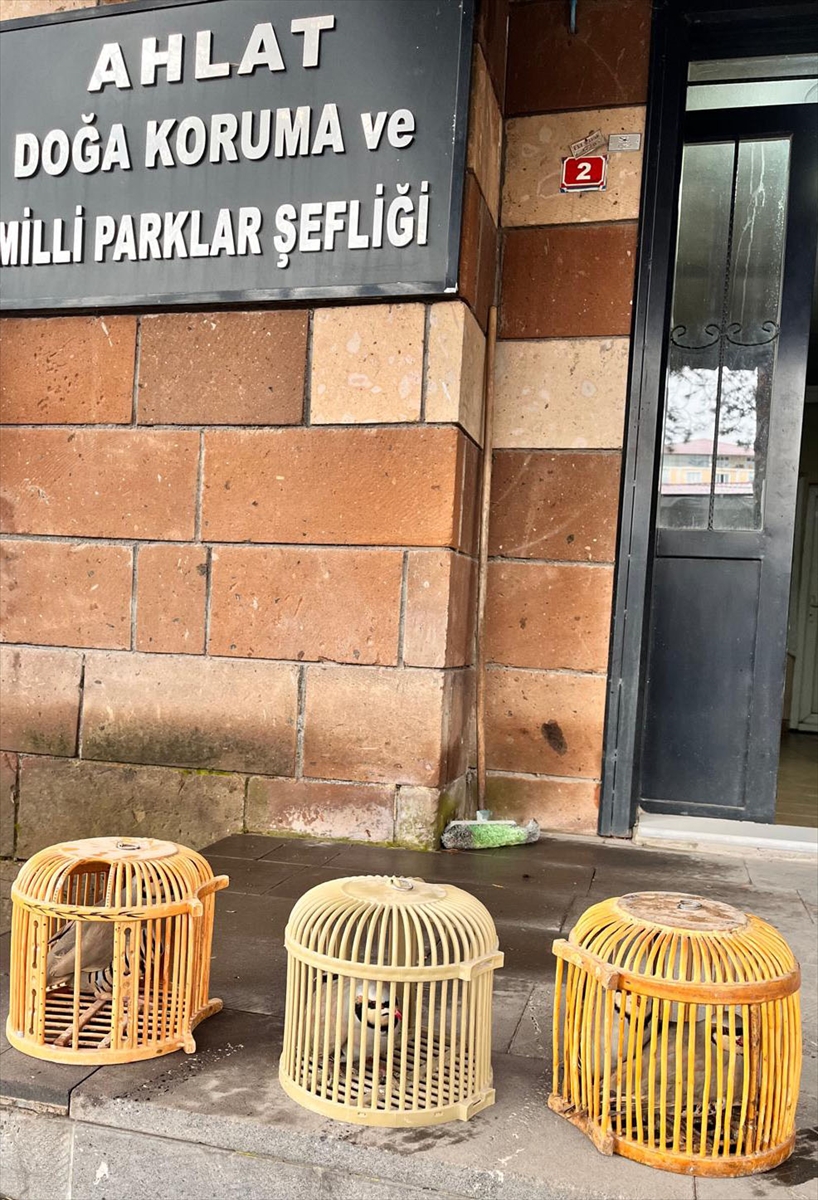 Bitlis'te keklik avlayan kişiye 64 bin 855 lira ceza uygulandı