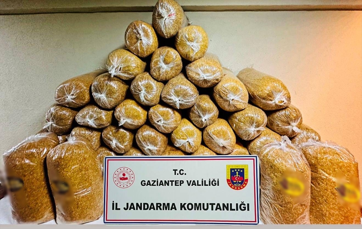 Gaziantep'te kaçakçılık operasyonunda 38 kişi yakalandı