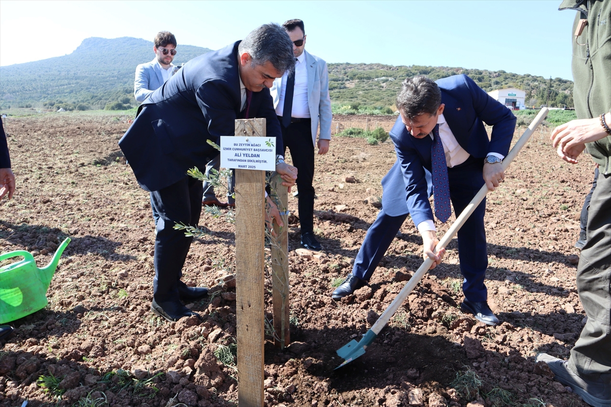 İzmir'de “Kökten Hayata” projesiyle 4 bin fidan toprakla buluşturuldu