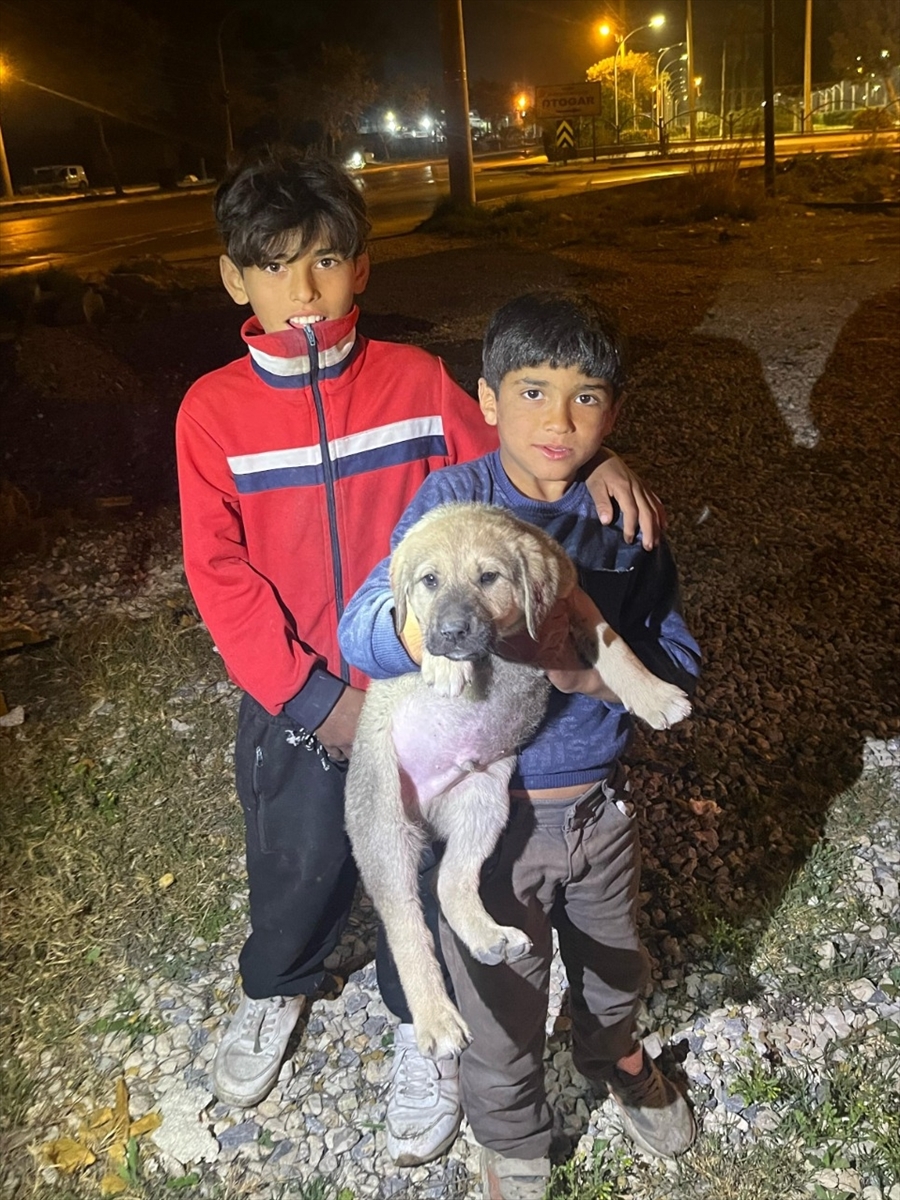 Mersin'de kuyuya düşen köpek yavrusunu itfaiye ekibi çıkardı