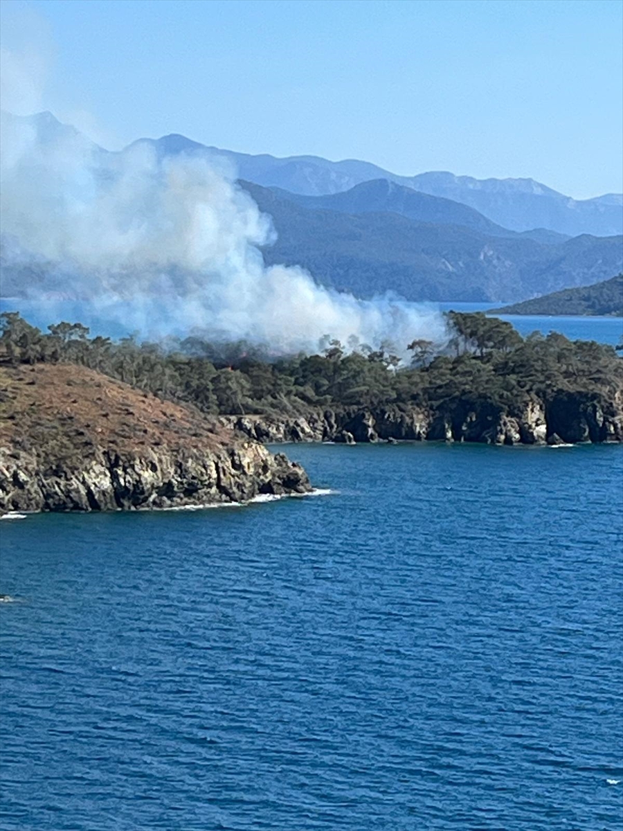 Muğla'da ormanlık alanda çıkan yangın söndürüldü