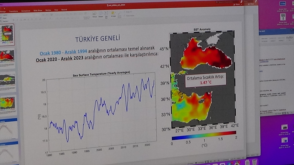 ODTÜ Deniz Bilimleri Enstitüsü Müdürü Salihoğlu, denizlerdeki sıcaklığı değerlendirdi: