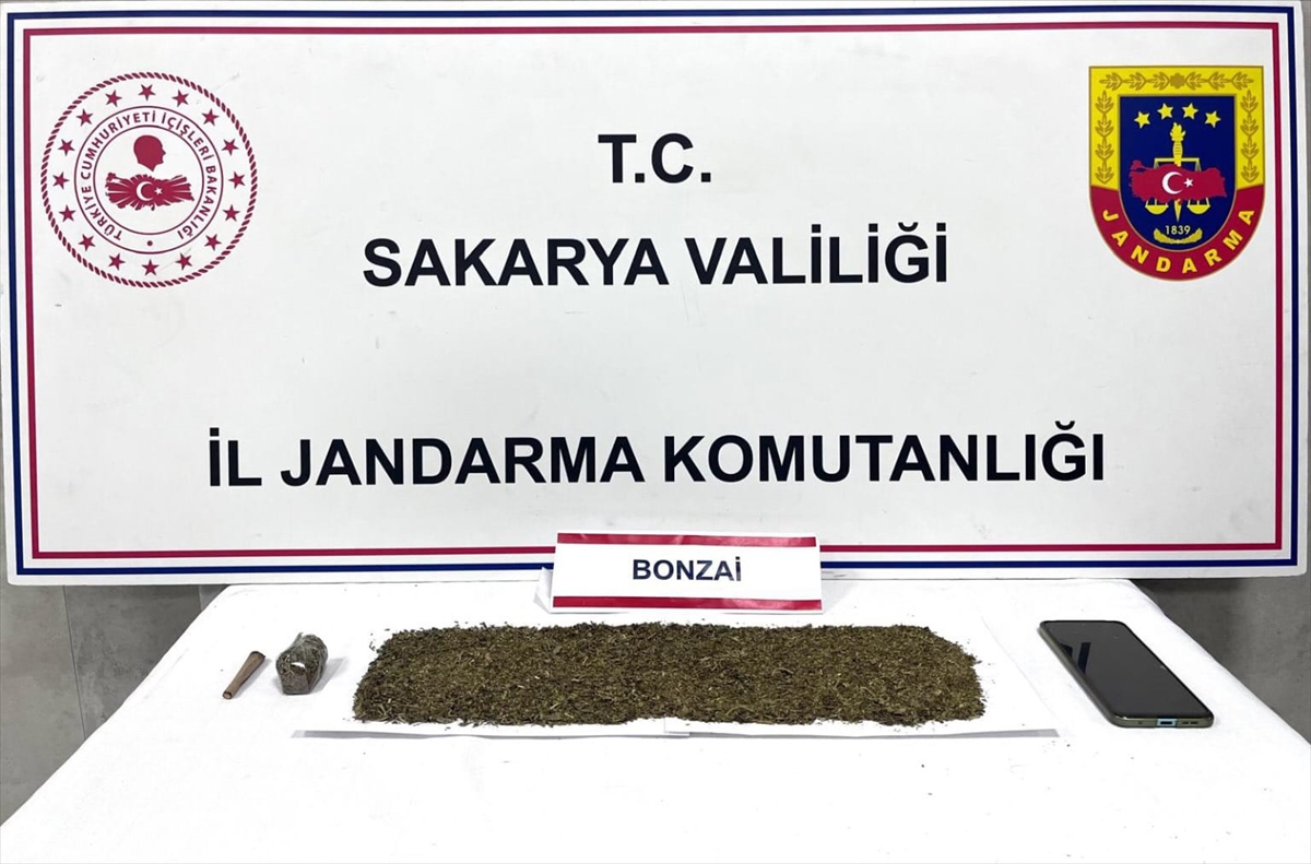 Sakarya'da uyuşturucu operasyonunda 2 zanlı tutuklandı