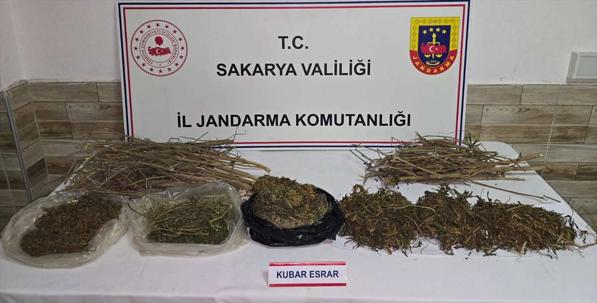 Sakarya'da uyuşturucu operasyonunda yakalanan zanlı tutuklandı