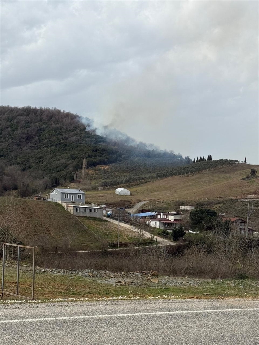 Yalova'da ormanlık alanda çıkan yangına müdahale ediliyor